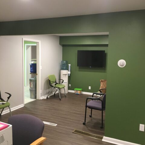 Green Walls with White Trim